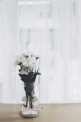 White flower in glasses vase in white room.