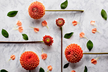 Styled Orange Dahlias on marble background  