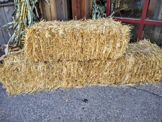 straw bales in a field