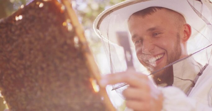 Face of a young male bearded beekeeper in white protective suit, with bee hive tool in hand, who holds in front of his face a behive frame with a lot of roaming bees, and honeycombs, and wax, and