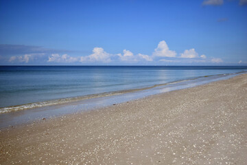 Fototapeta premium Deserted South Florida Gulf Beach 