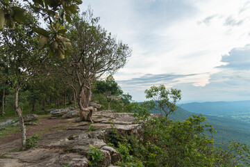 
Cliff with beautiful views and steep cliffs of Hua Nak at Chaiyaphum Thailand