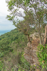 Fototapeta na wymiar Cliff with beautiful views and steep cliffs of Hua Nak at Chaiyaphum Thailand