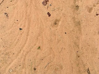 Soil floor surface texture 