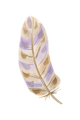 Beautiful decorative fairytale fluffy feather painted in watercolor isolated on white background