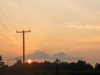 Fototapeta na wymiar Green rice fields with the evening sun