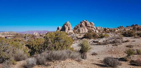formations of joshua tree national park