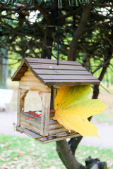 wooden bird house feeder on a tree in the park with yellow colorful maple leaf autumn mood