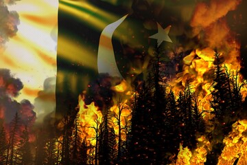 Big forest fire fight concept, natural disaster - heavy fire in the trees on Pakistan flag background - 3D illustration of nature