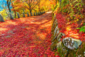 奈良県・吉野山の紅葉の道