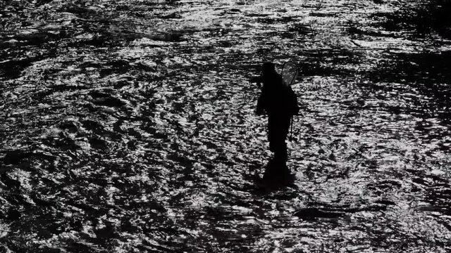 Medium, high angle, b&w, unrecognizable fisherman wades in Little River, North Carolina, USA