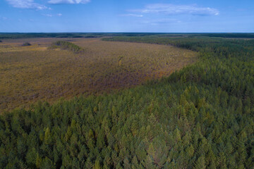 View from height to the border of spruce forest and horse swamp. Nature of Kostroma region, Russia