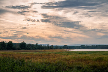 Naklejka na ściany i meble High grass on pond edge with trees at sunrise. Czech landscape