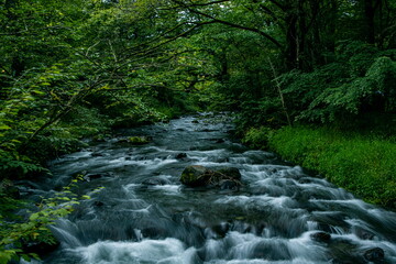 Obraz premium 滝と川