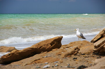 Stormy sea landscape