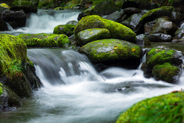 Fototapeta na wymiar 水しぶきをあげて流れる初秋の渓流