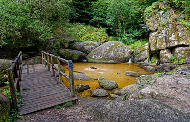 La Mare aux Sangliers, Huelgoat, Monts d’Arrée, Finistère, Bretagne, France
