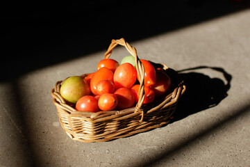 tomatoes in a basket