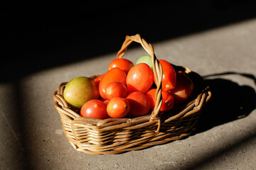 tomatoes in a basket