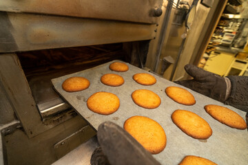 galletas saliendo del honro