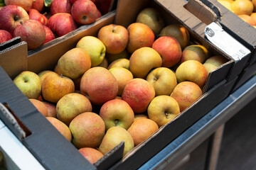 manzanas ecológicas acabas de recoger del árbol