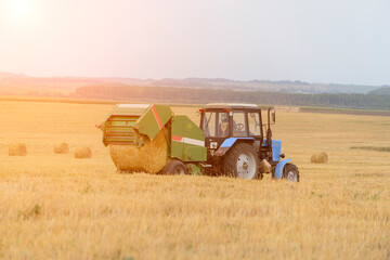 Fototapeta na wymiar the production of rolls of straw tractor