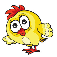 cute funny chicken character, isolated object on white background, cartoon illustration, vector illustration,