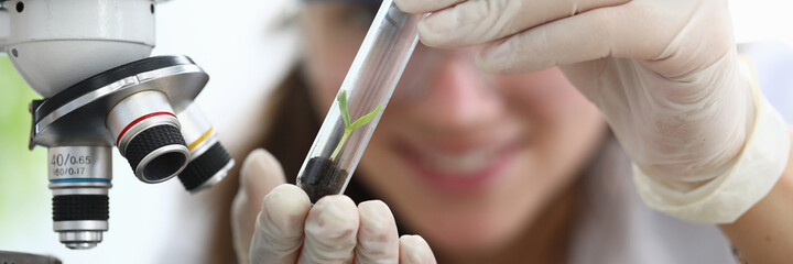 Close-up of small germ in soil. Glass container with green plant leaf. Woman in white gloves...