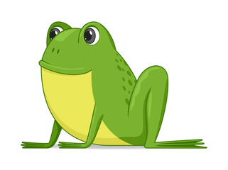 Frog sitting on a white background