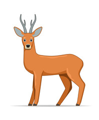 Roe deer standing on a white background © Genestro
