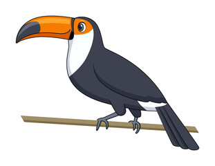 Toucan bird on a white background. Cartoon style vector illustration