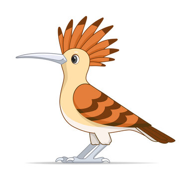 recommend clip art: Red hoopoe bird on a white background