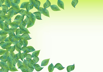 Mint Leaves Tree Green Background Banner. Wind 