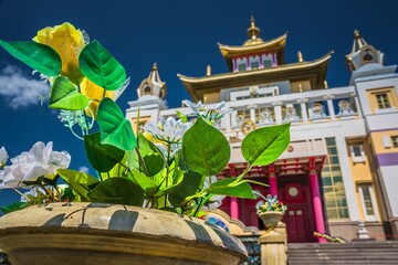 Fototapety na wymiar - Fototapeta24.pl