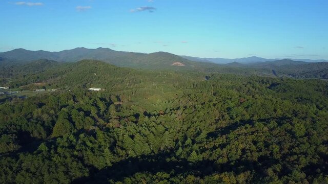 Aerial, pov, vast forest landscape on a sunny day, North Carolina, USA