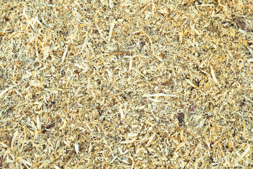 Wood shavings background, sawdust pattern, wooden texture
