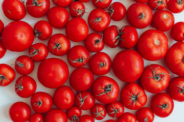 Ripe tomatoes of different size pattern on white background with a copy space. Organic vegetables.