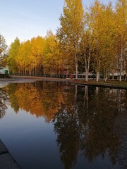 autumn trees reflected in water