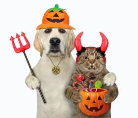 A dog with a devil spear hugs a cat with red horns on halloween. White background. Isolated.