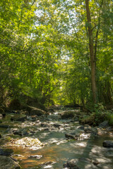Cascade à MORTAIN-BOCAGE, Normandie, france 