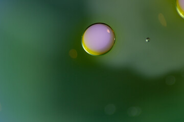 Oil drops in the water and milk create an artistic and imaginatively designed abstract background