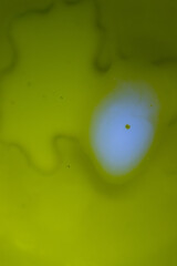 Oil drops in the water and milk create an artistic and imaginatively designed abstract background