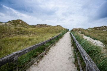 way to the beach through dunes over sand with small wooden railings at the wayside
