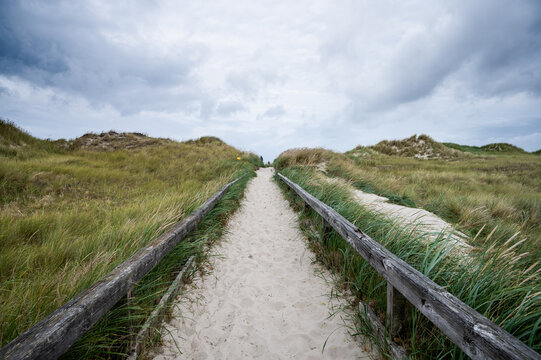 Way To The Beach Through Dunes Over Sand With Small Wooden Railings At The Wayside