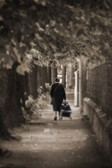 woman evicted from home, she's walking with a trolley bag
