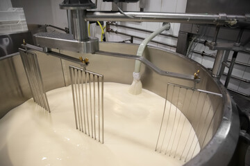 Pouring milk into curd preparation tank at cheese factory