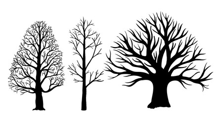 Trees without leaves silhouettes. Vector bare tree silhouettes. Dead tree without leaves.