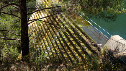 Fototapeta na wymiar Dam steps with green algae growing