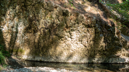 Rock face by river bank in the forest