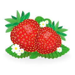 Strawberries realistic vector